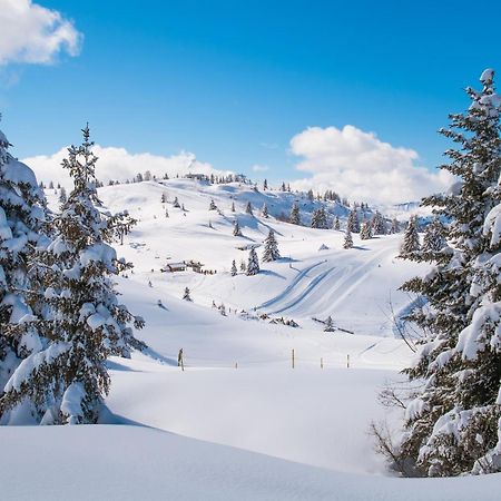Chalet Anelie Happy Rentals レ・ズッシュ エクステリア 写真