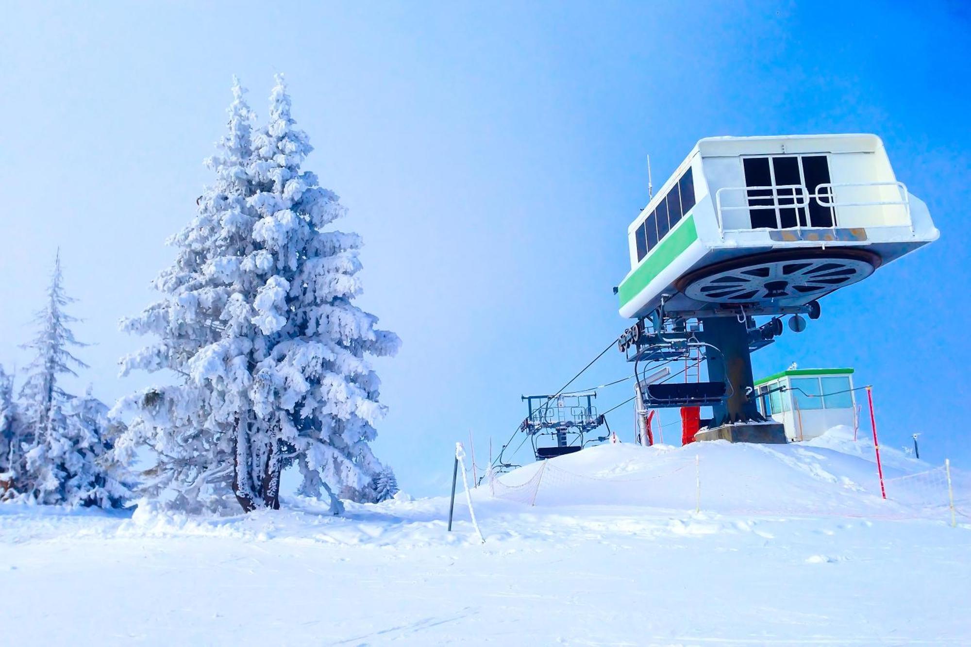Chalet Anelie Happy Rentals レ・ズッシュ エクステリア 写真